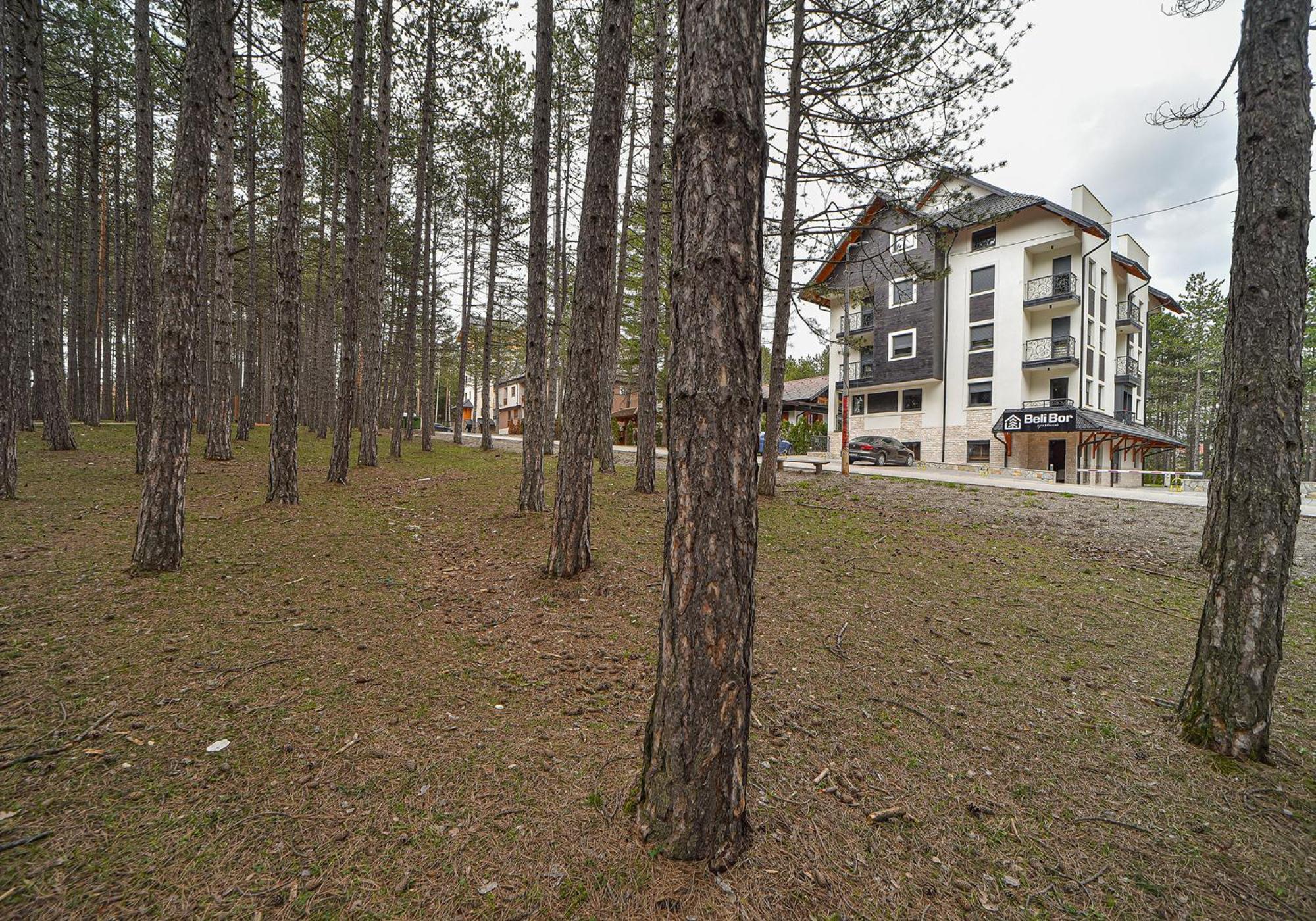 Beli Bor Zlatibor Aparthotel Exterior photo